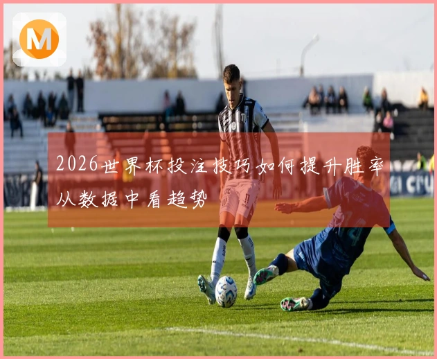 2026世界杯投注技巧如何提升胜率从数据中看趋势