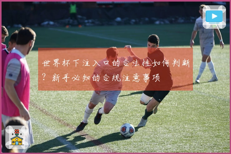 世界杯下注入口的合法性如何判断？新手必知的合规注意事项