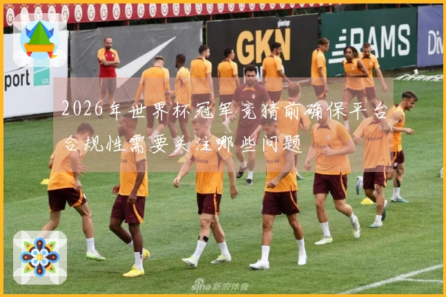 2026年世界杯冠军竞猜前确保平台合规性需要关注哪些问题
