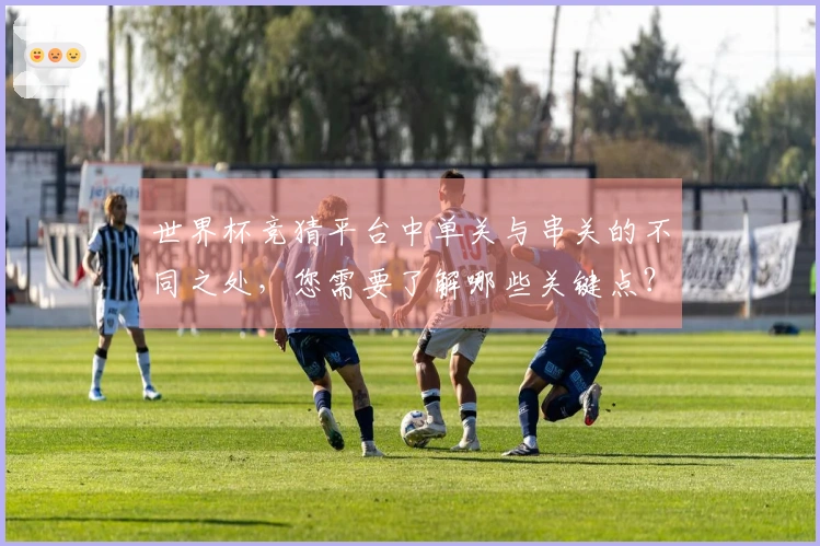 世界杯竞猜平台中单关与串关的不同之处，您需要了解哪些关键点？